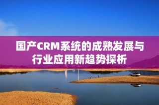 国产CRM系统的成熟发展与行业应用新趋势探析