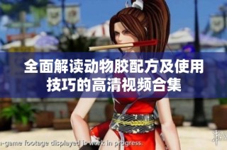 全面解读动物胶配方及使用技巧的高清视频合集