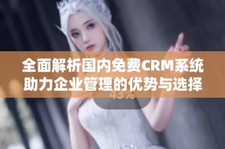 全面解析国内免费CRM系统助力企业管理的优势与选择