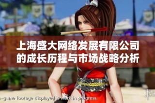 上海盛大网络发展有限公司的成长历程与市场战略分析