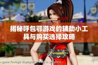 揭秘呼包鄂游戏的辅助小工具与购买选择攻略