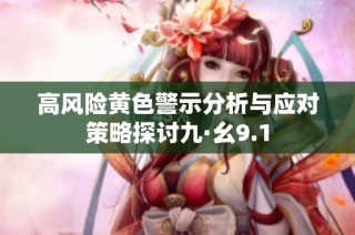 高风险黄色警示分析与应对策略探讨九·幺9.1