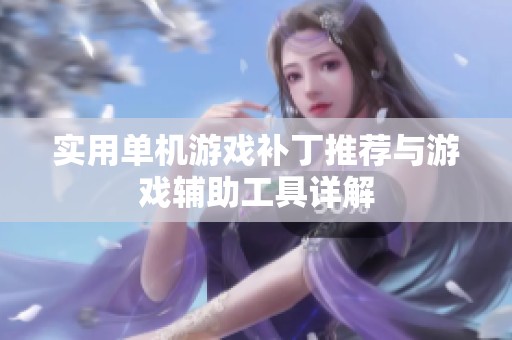 实用单机游戏补丁推荐与游戏辅助工具详解