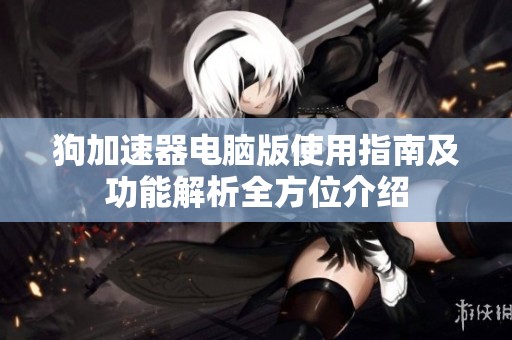 狗加速器电脑版使用指南及功能解析全方位介绍