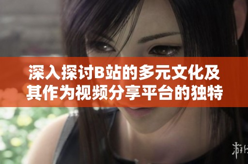 深入探讨B站的多元文化及其作为视频分享平台的独特魅力