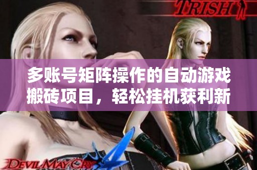 多账号矩阵操作的自动游戏搬砖项目，轻松挂机获利新方式