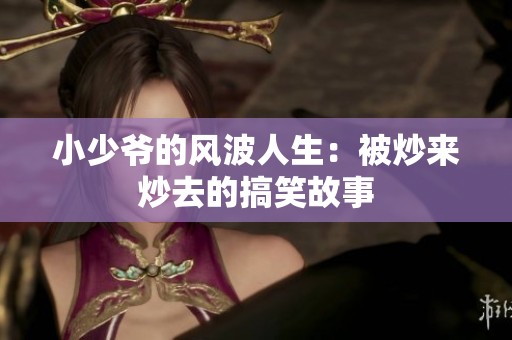 小少爷的风波人生：被炒来炒去的搞笑故事