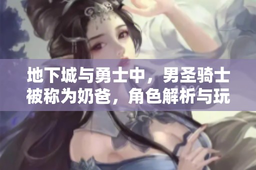地下城与勇士中，男圣骑士被称为奶爸，角色解析与玩法探讨