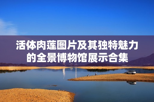 活体肉莲图片及其独特魅力的全景博物馆展示合集