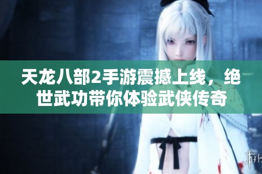 天龙八部2手游震撼上线，绝世武功带你体验武侠传奇