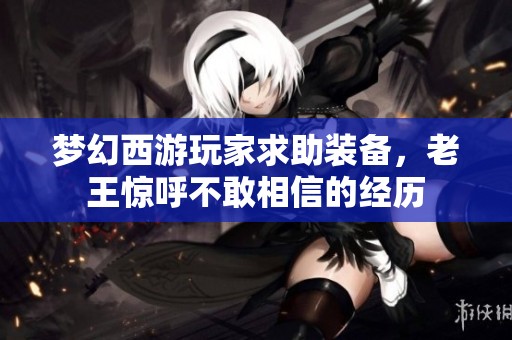 梦幻西游玩家求助装备，老王惊呼不敢相信的经历