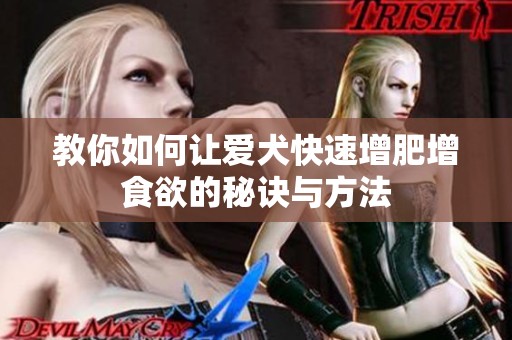教你如何让爱犬快速增肥增食欲的秘诀与方法