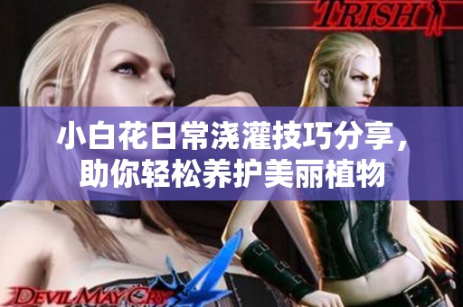 小白花日常浇灌技巧分享，助你轻松养护美丽植物