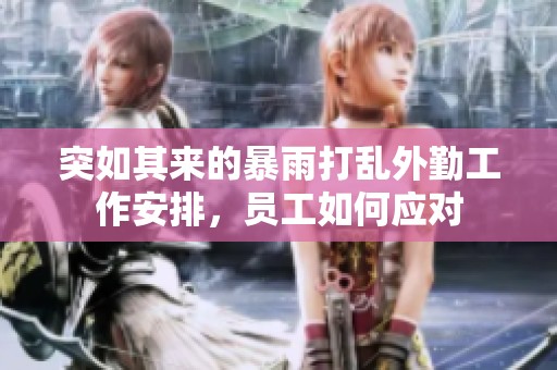 突如其来的暴雨打乱外勤工作安排，员工如何应对