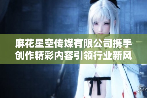 麻花星空传媒有限公司携手创作精彩内容引领行业新风潮