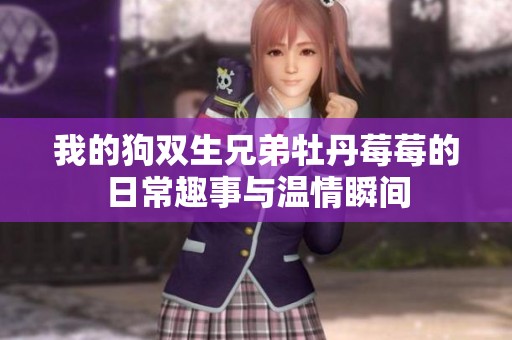 我的狗双生兄弟牡丹莓莓的日常趣事与温情瞬间