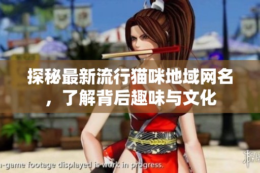 探秘最新流行猫咪地域网名，了解背后趣味与文化