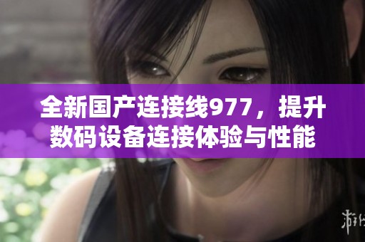 全新国产连接线977，提升数码设备连接体验与性能
