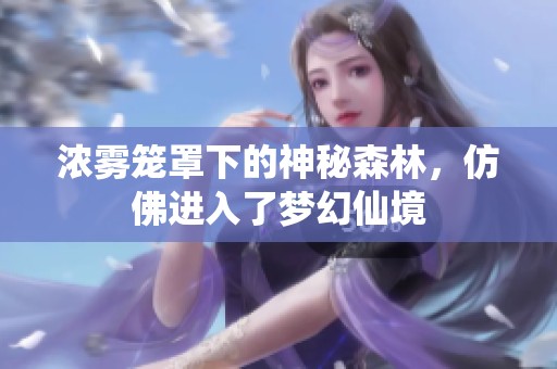 浓雾笼罩下的神秘森林，仿佛进入了梦幻仙境