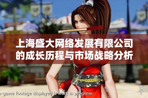 上海盛大网络发展有限公司的成长历程与市场战略分析