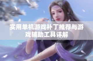 实用单机游戏补丁推荐与游戏辅助工具详解