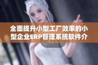 全面提升小型工厂效率的小型企业ERP管理系统软件介绍