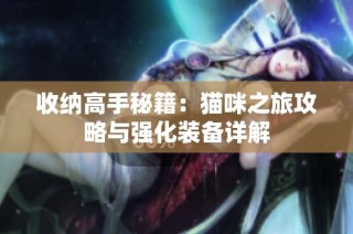 收纳高手秘籍：猫咪之旅攻略与强化装备详解