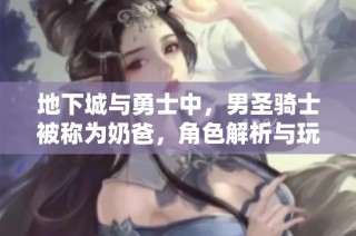地下城与勇士中，男圣骑士被称为奶爸，角色解析与玩法探讨