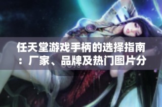 任天堂游戏手柄的选择指南：厂家、品牌及热门图片分享