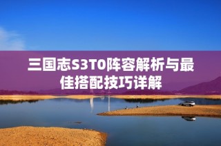 三国志S3T0阵容解析与最佳搭配技巧详解