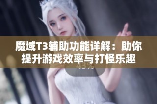 魔域T3辅助功能详解：助你提升游戏效率与打怪乐趣